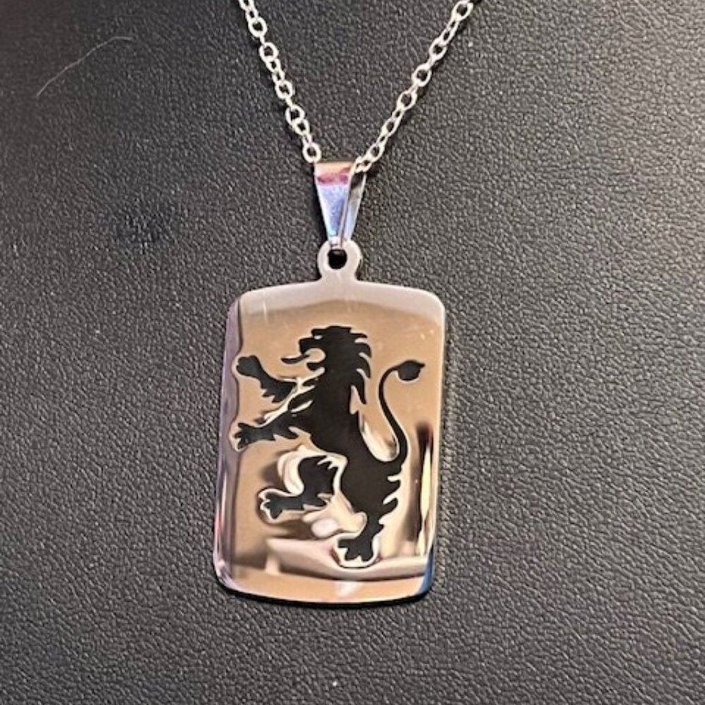 Stainless Steel DRAGON Dogtag Pendant on 22" Silvertone Chain (P49)
